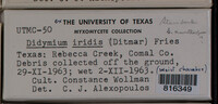Image Associated With the Occurence